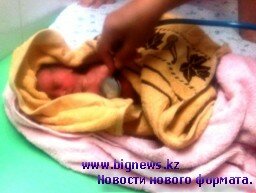 В Капчагае найден выброшенный матерью новорожденный ребенок.